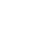 Wish Jewelry Logo White